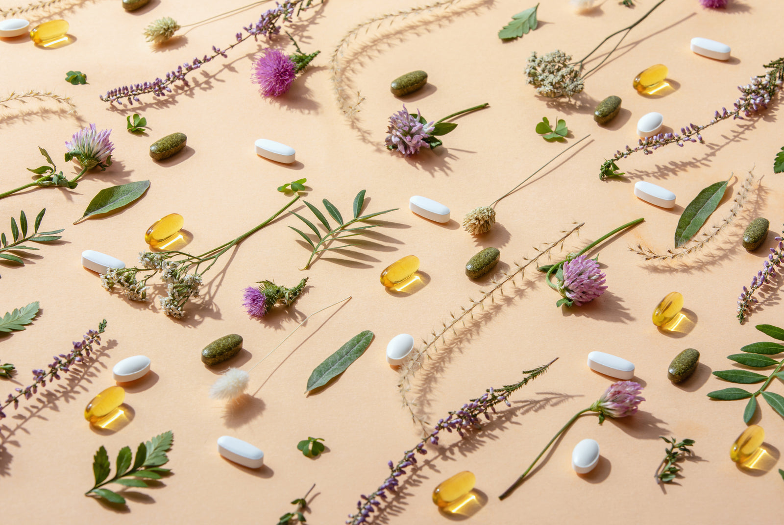 GMO-Free Multivitamins for Vegans — 26 Vitamins & Minerals to Consider