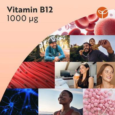 Vitamin B12 - 365 tablets