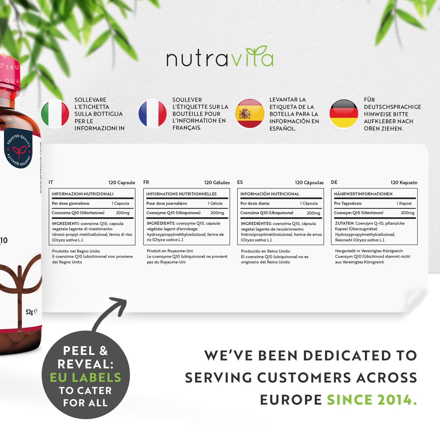 Co Enzyme Q10 (CoQ10)