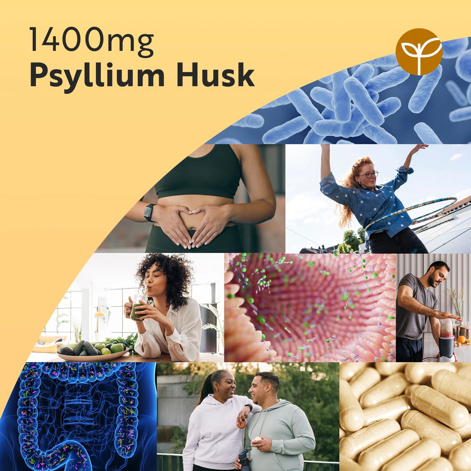 Psyllium Husk Fibre
