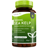 Sea Kelp